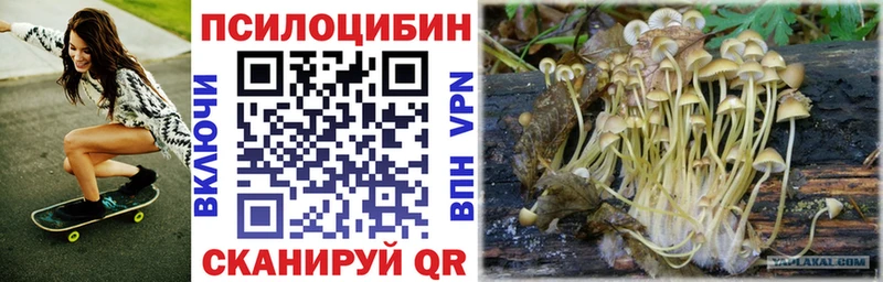 Псилоцибиновые грибы Magic Shrooms  даркнет сайт  Усмань 